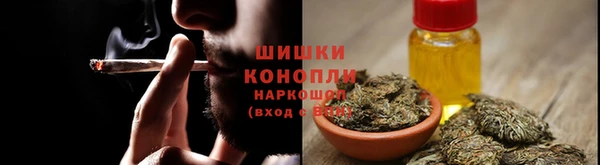 тгк Богородск