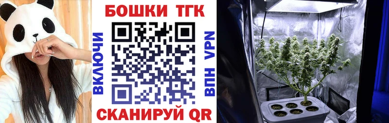 Марихуана сатива  ОМГ ОМГ ссылки  Каменногорск 